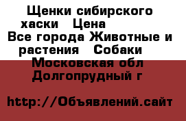 Щенки сибирского хаски › Цена ­ 12 000 - Все города Животные и растения » Собаки   . Московская обл.,Долгопрудный г.